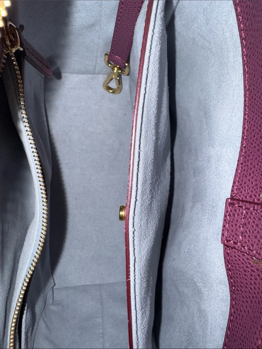 Senreve plum leather